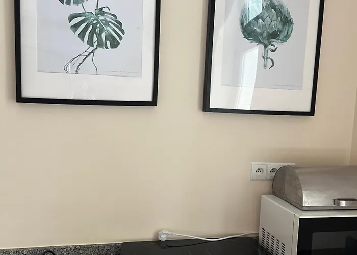 Wave 80m2 100m Od Plazy * Sopot